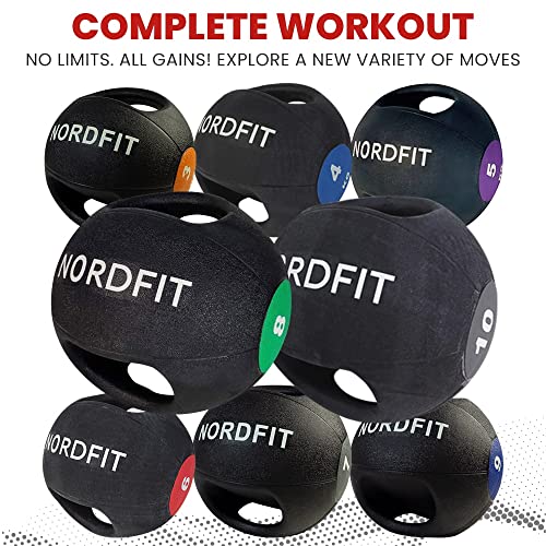 Lehecka Medicine Balls with Handles – Fitness & Home Gym Equipment