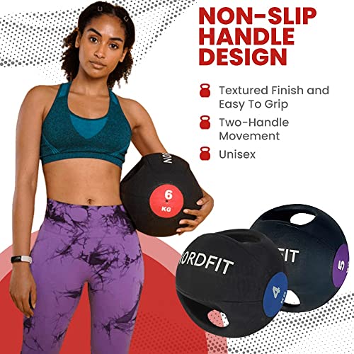 Lehecka Medicine Balls with Handles – Fitness & Home Gym Equipment
