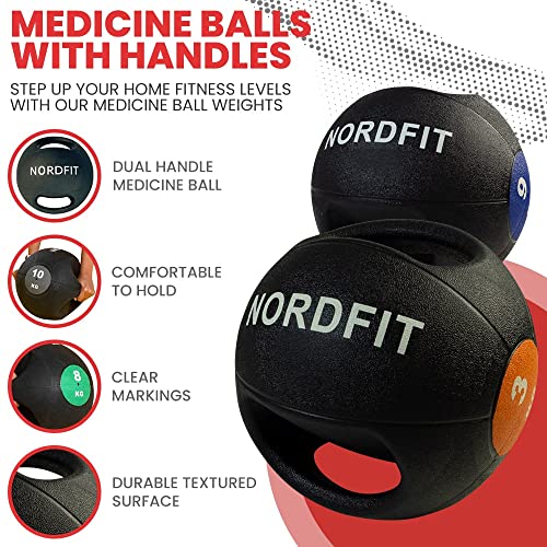 Lehecka Medicine Balls with Handles – Fitness & Home Gym Equipment